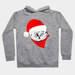 Christmas cat lover gifts Hoodie